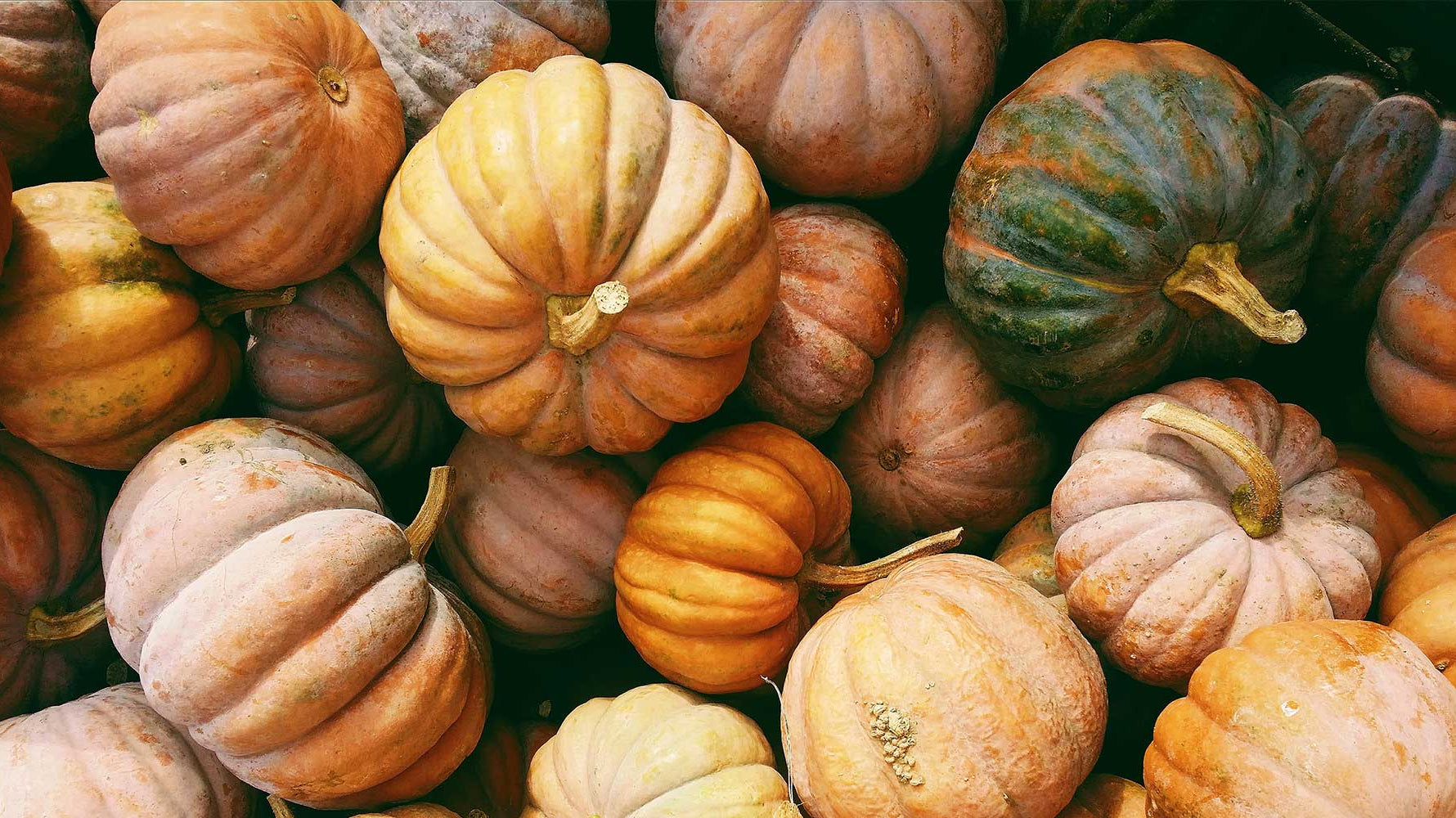 10 Home Décor Must-Haves for Fall