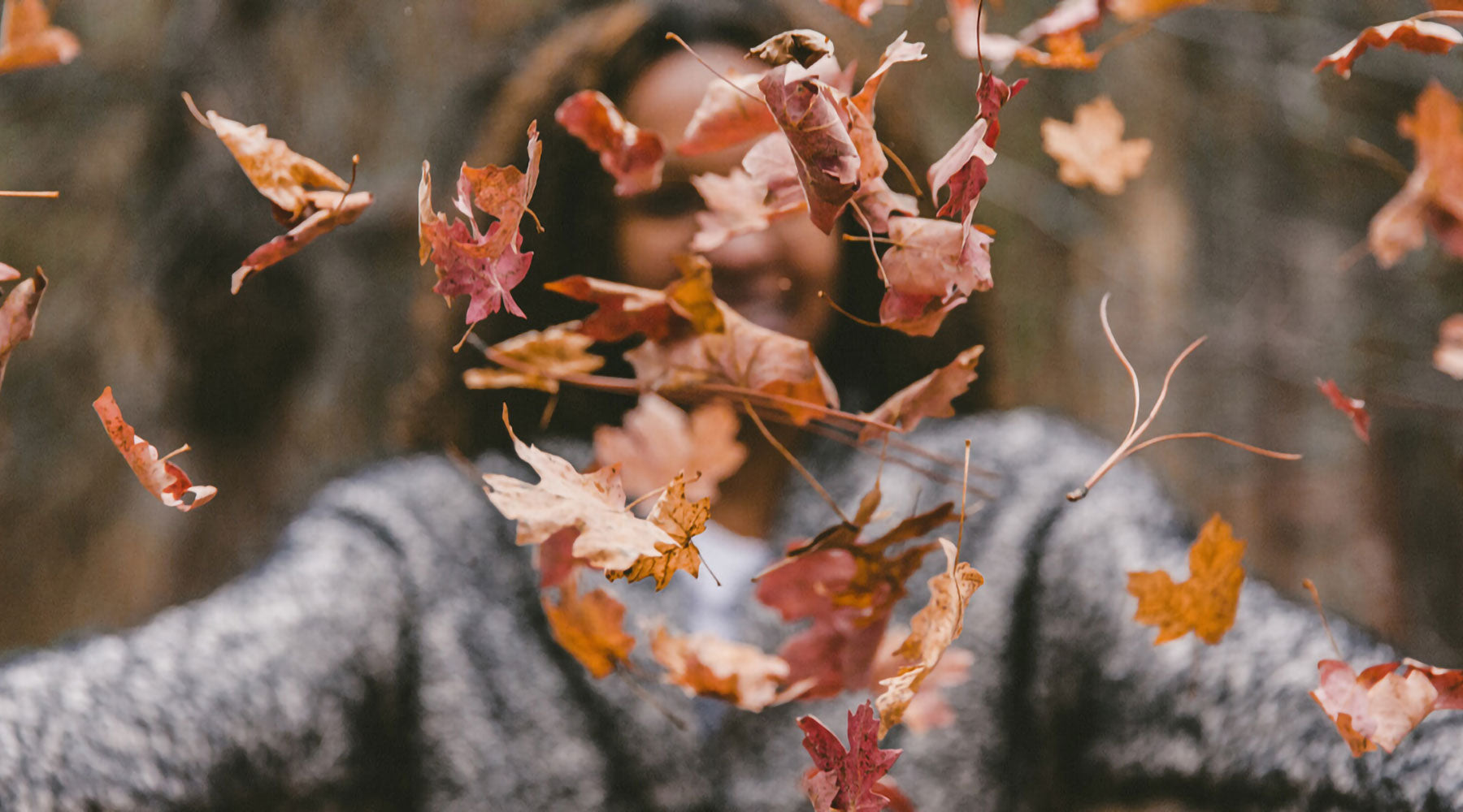 5 Fall Activities To Do This Season