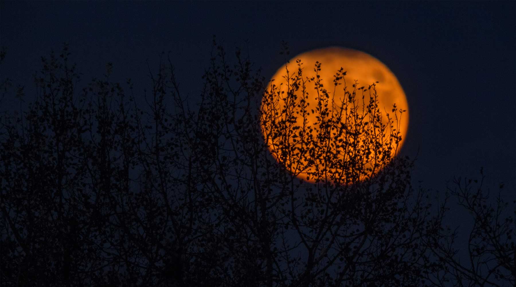 Last Minute Halloween Costumes