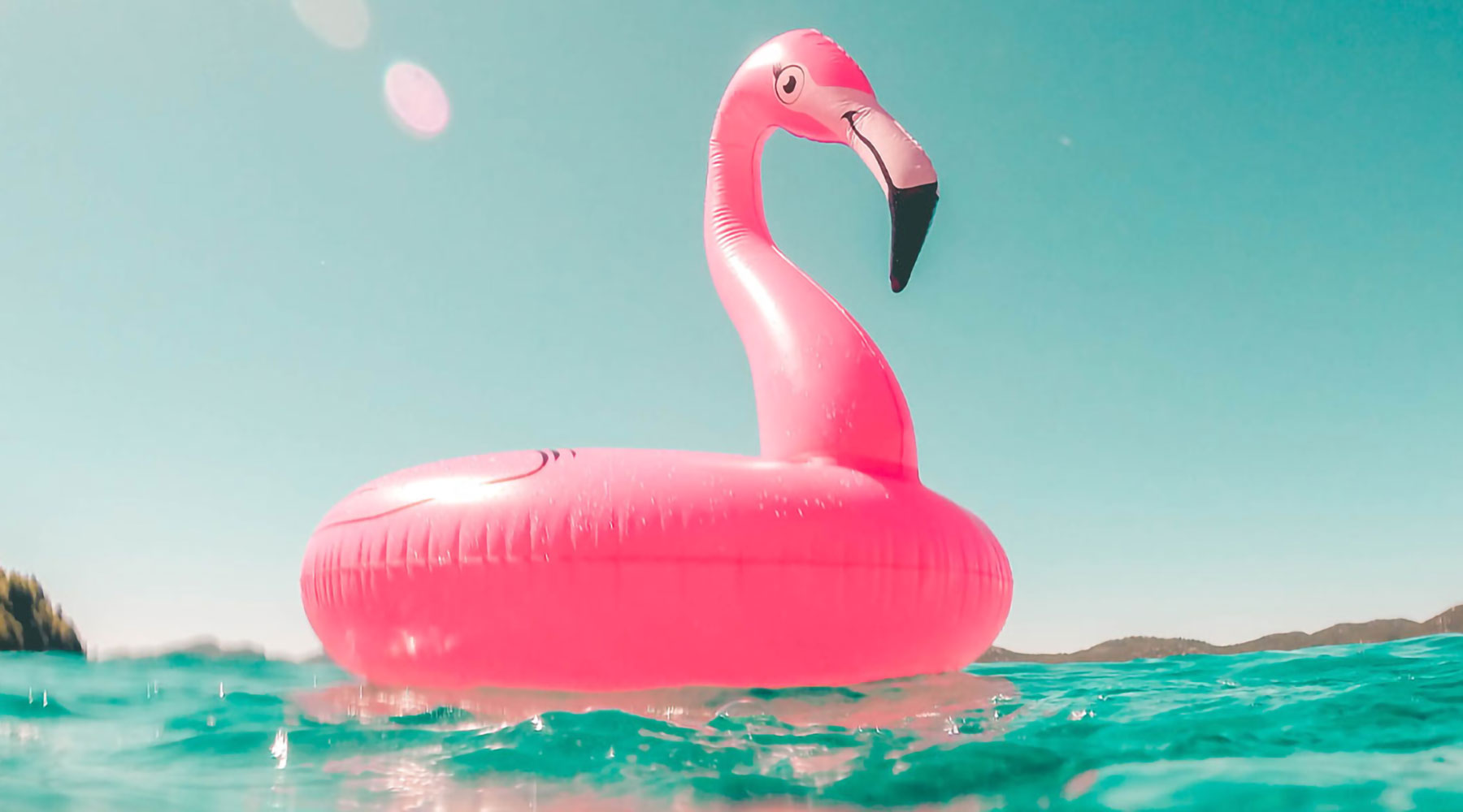 Must-Have Phone Cases for Summer